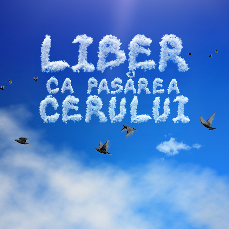 Liber Ca Pasarea Cerului Episoade Integrale Pe Antenaplay Antenaplay Ro
