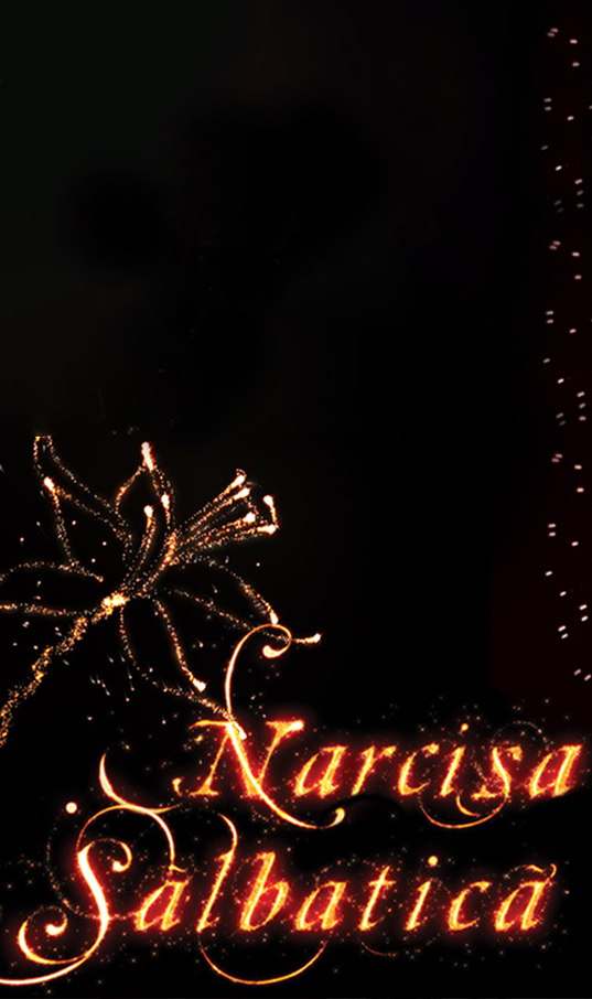 Narcisa Sălbatică
