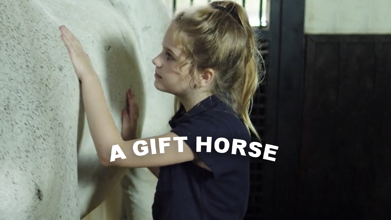 A Gift Horse