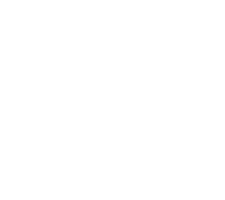 The Happy Camper