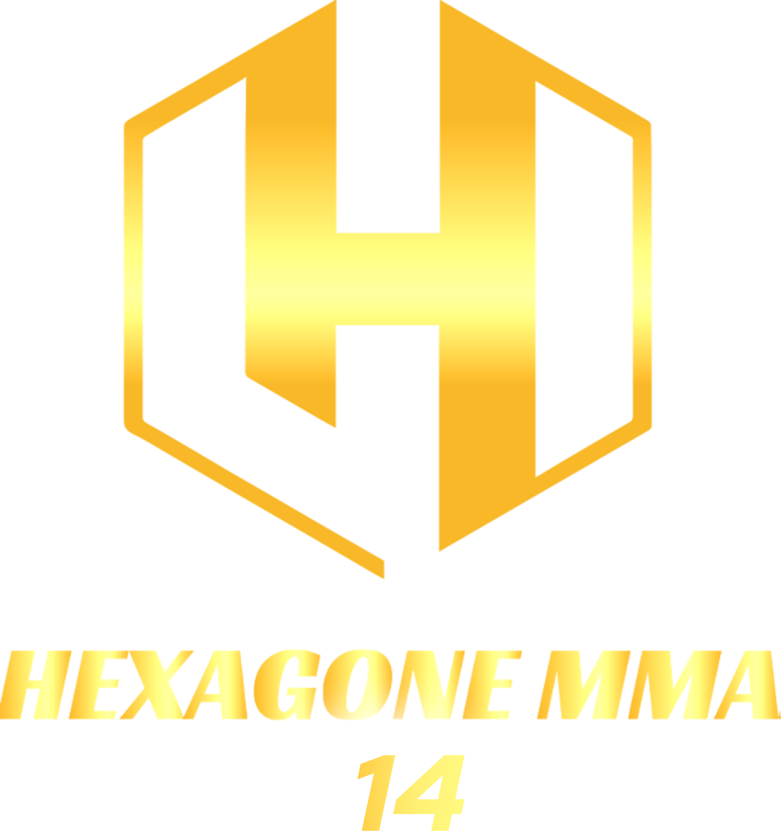Hexagone MMA 14