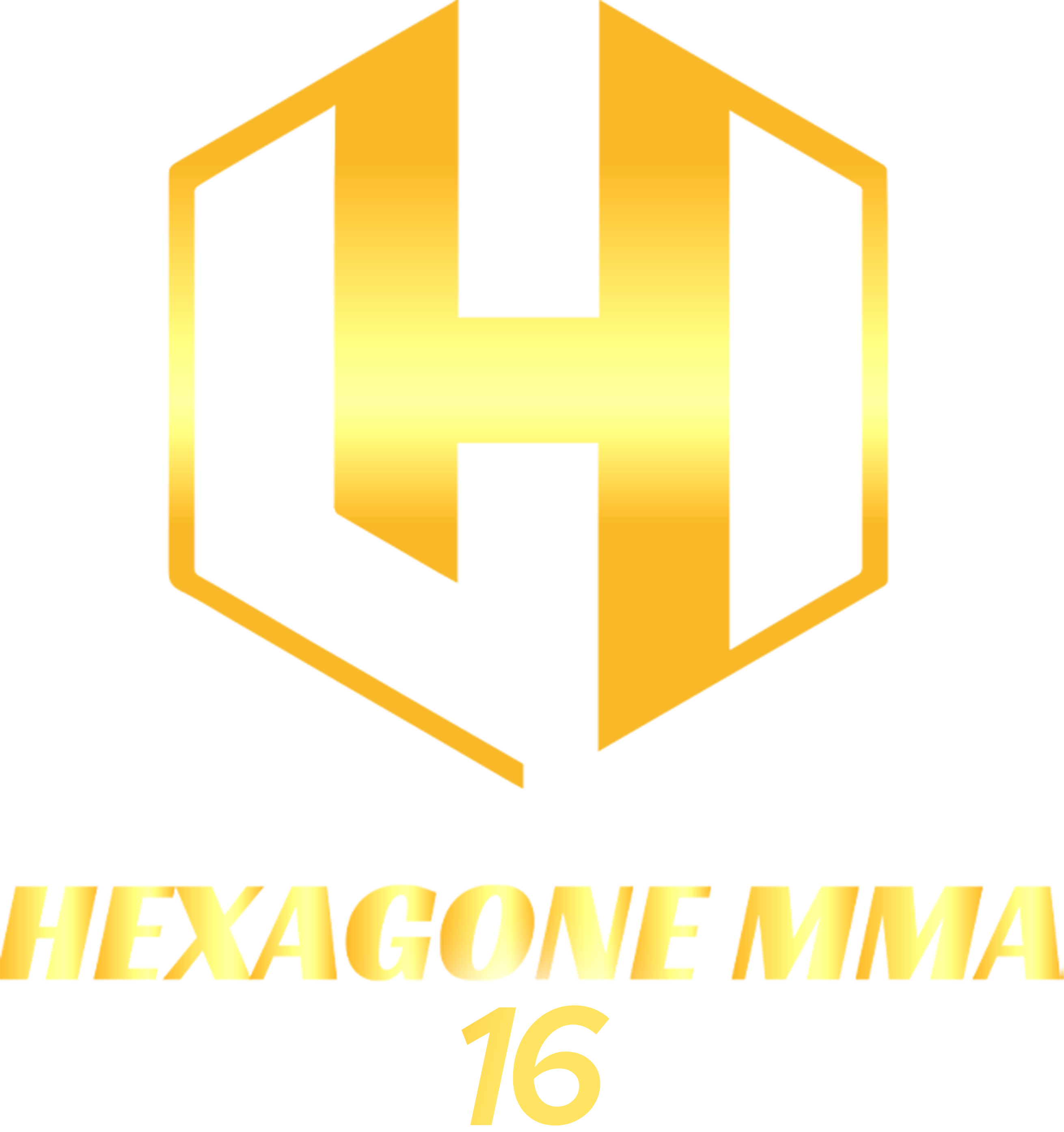 Hexagone MMA 16