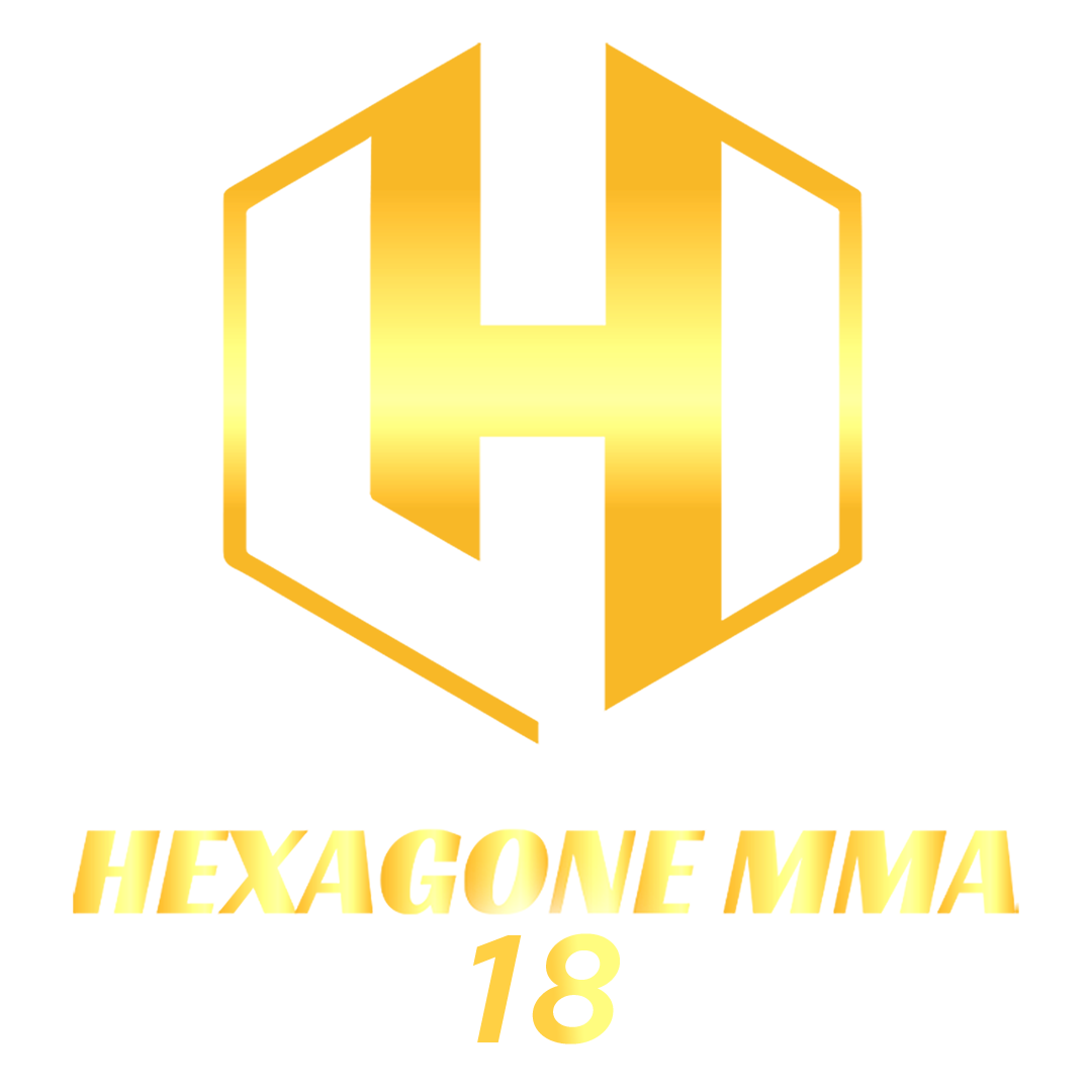 Hexagone MMA 18