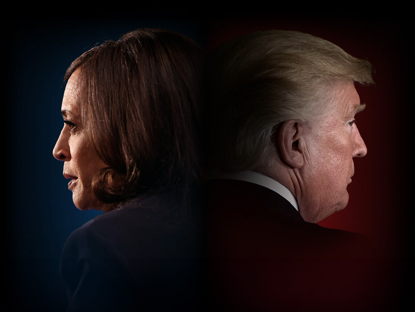 The Choice 2024: Harris vs. Trump