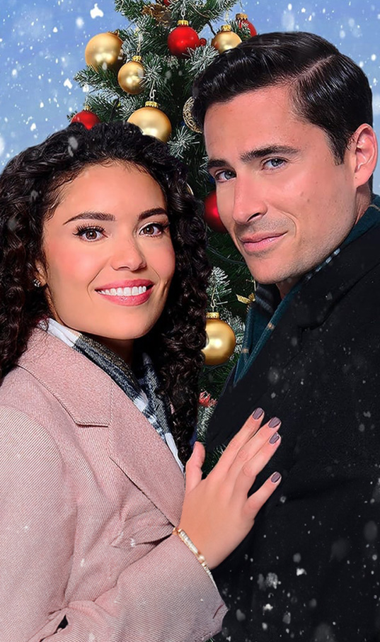 Christmas on 5th Avenue