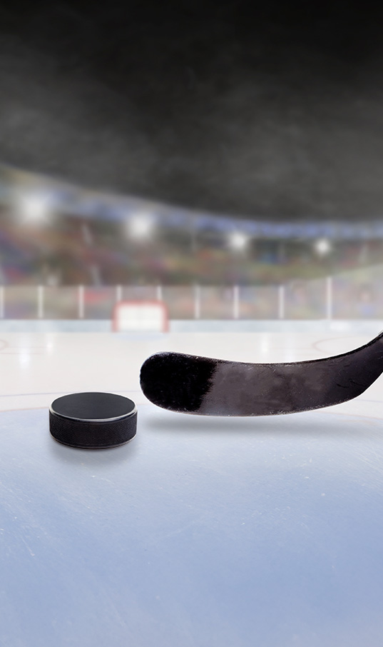 Campionatul Mondial de hochei | Suedia & Danemarca 2025