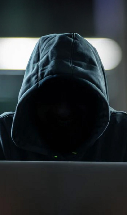 Vânătoare de prădători sexuali