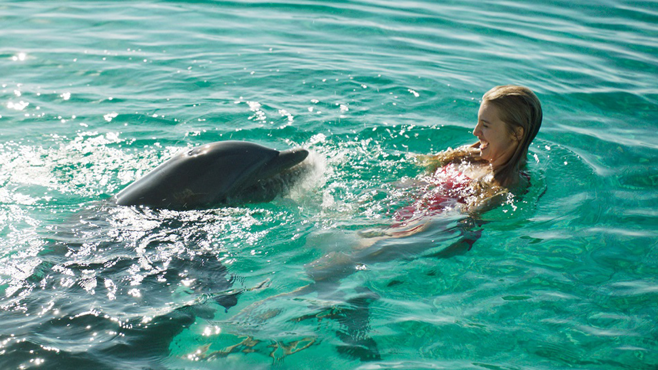 Dolphin Island