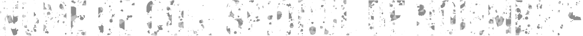 Nume de cod: Spionul de noiembrie