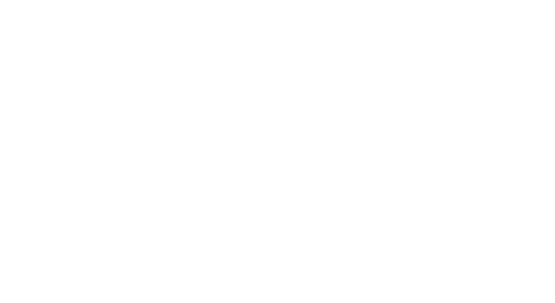 Vânătoare în noapte