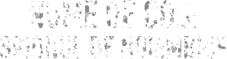 Nume de cod: Spionul de noiembrie