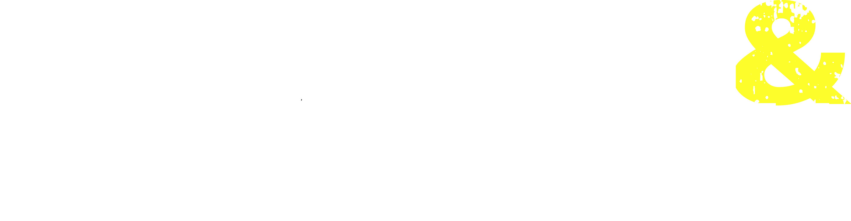 Termeni și Condiții