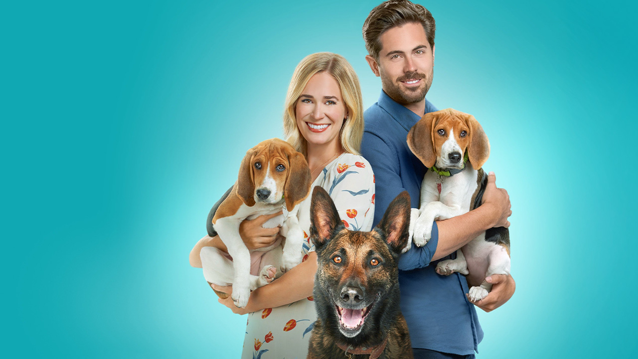 Din dragoste pentru căței