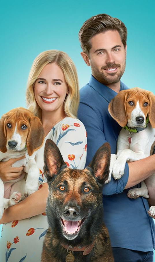 Din dragoste pentru căței