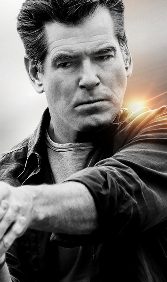 Nume de cod: Spionul de noiembrie