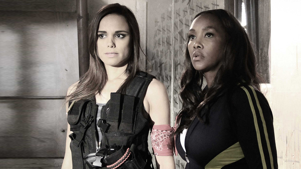 Termeni și Condiții