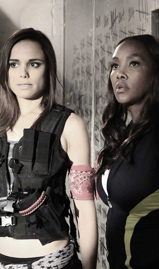 Termeni și Condiții