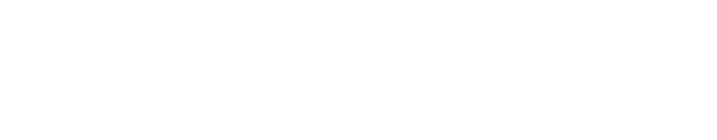 Spionul care mi-a dat papucii