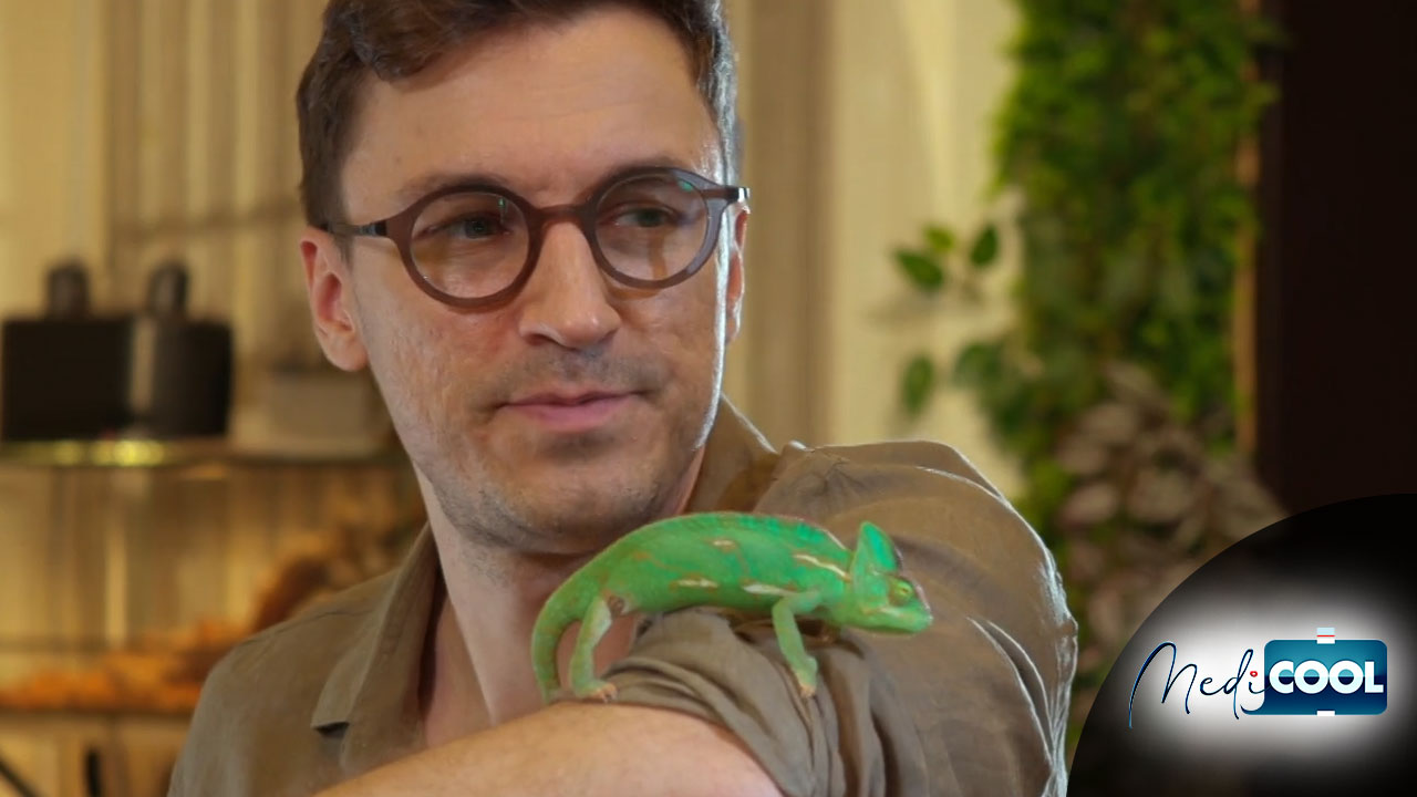 MediCOOL | Sezonul 9 - Episodul 62