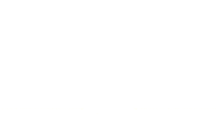 Mireasa din Istanbul