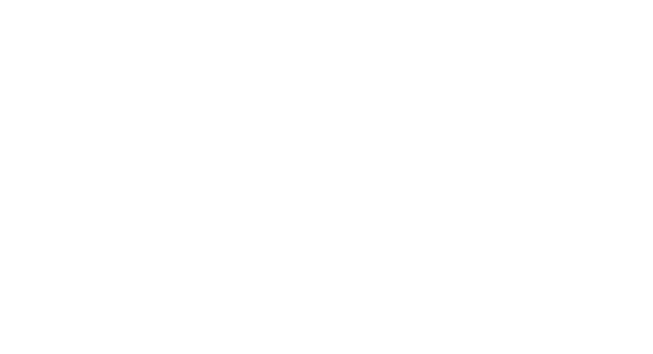 Cealaltă soție