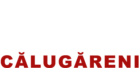 Mihai Viteazul - Călugăreni