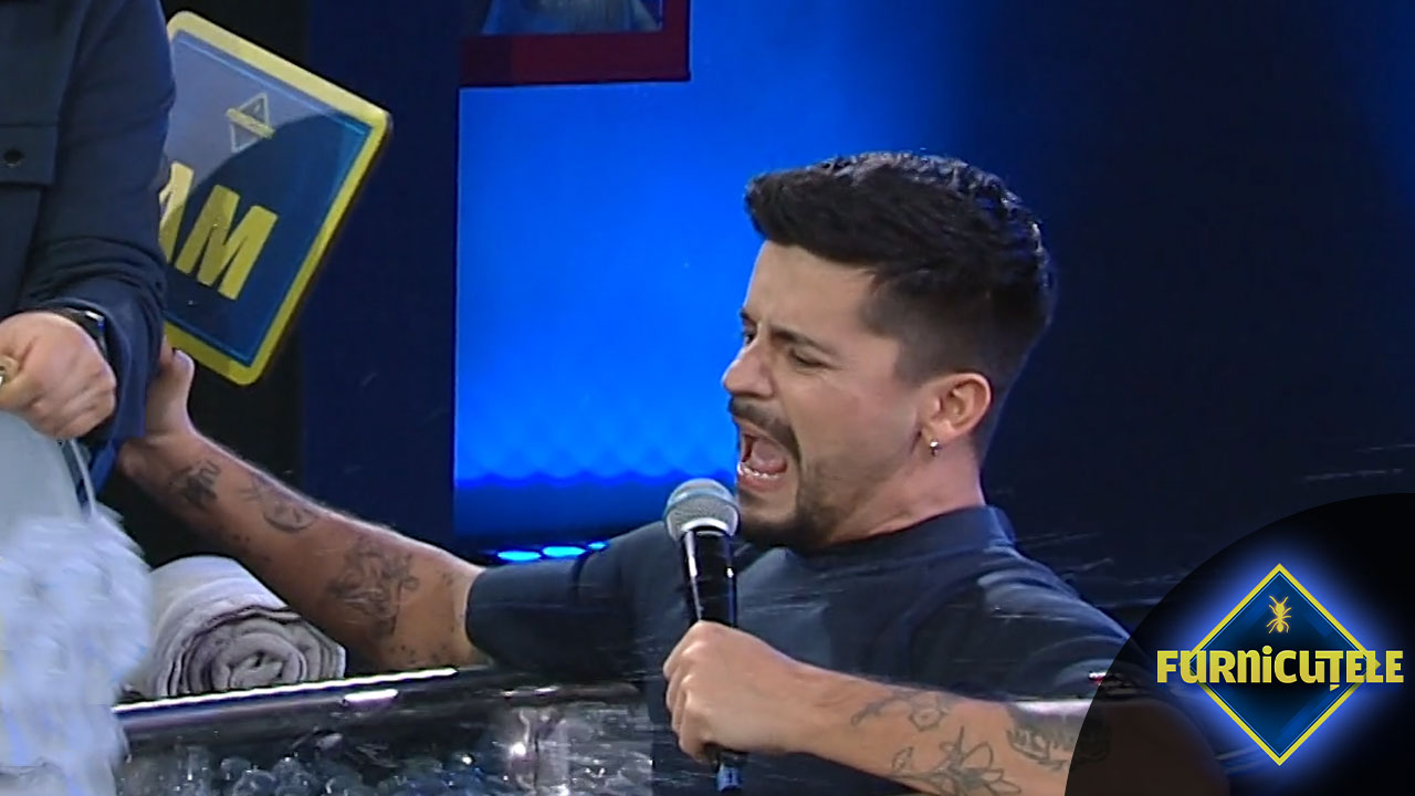 Furnicuțele 2026 | Episodul 4: Ce urmează