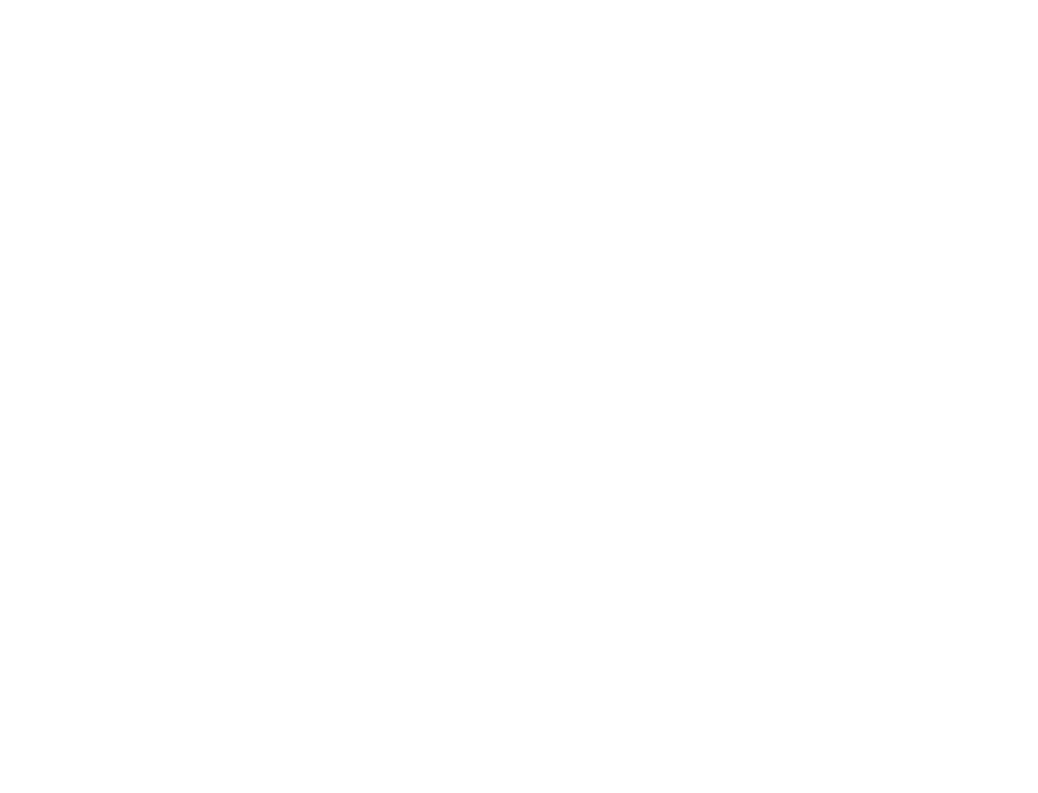 Cehia – Africa de Sud