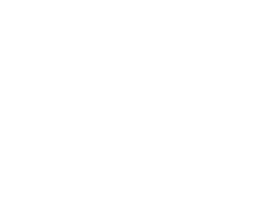 Noua Zeelandă – Egipt