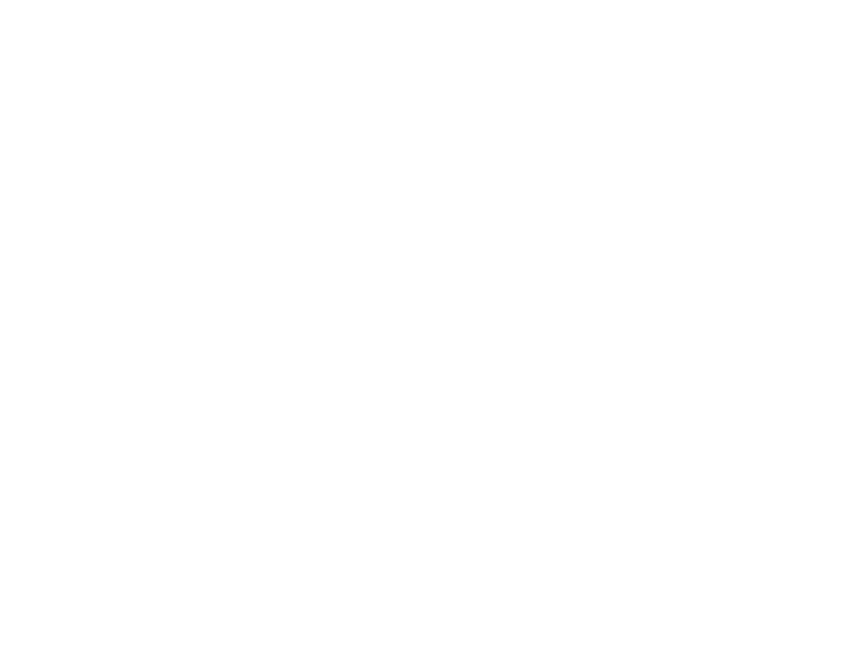 Noua Zeelandă – Belgia