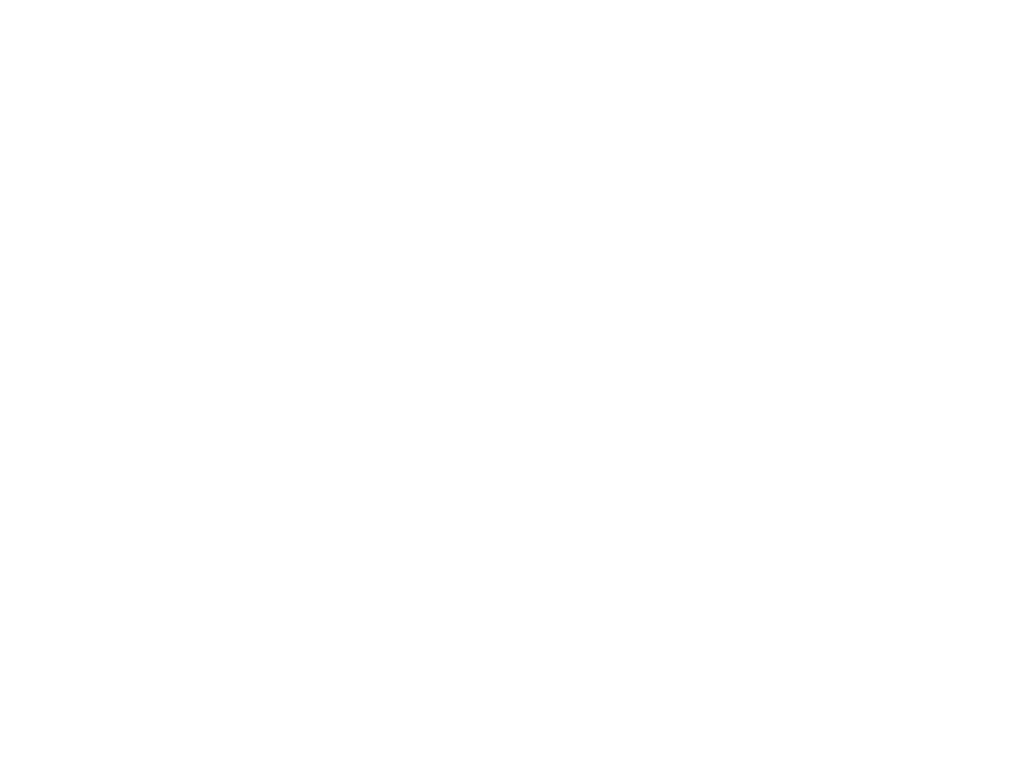 Germania – Paraguay