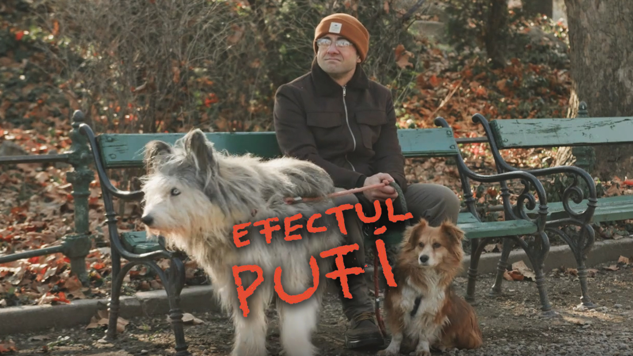 Efectul Pufi