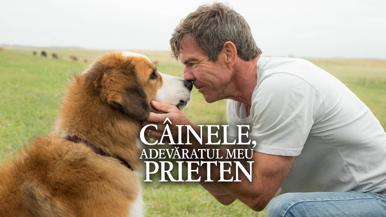 A Dog's Purpose | Câinele, adevăratul meu prieten