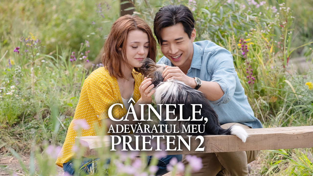 A Dog's Journey | Câinele, adevăratul meu prieten 2