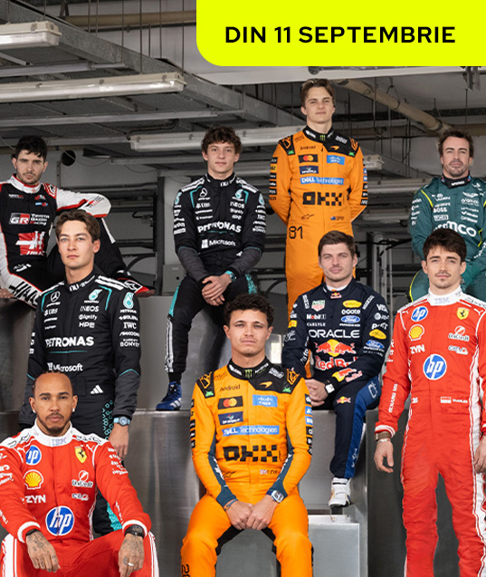 Formula 1™