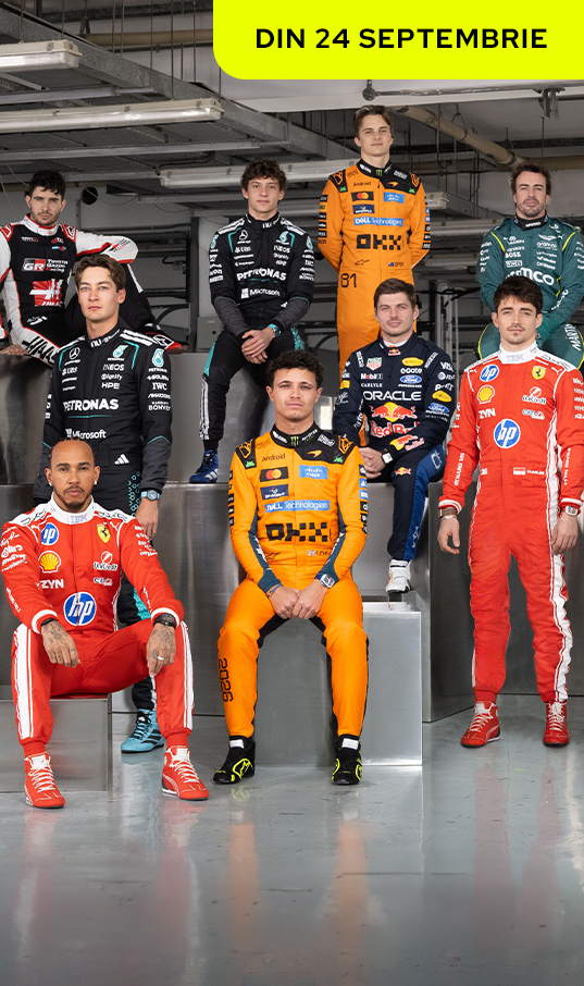 Formula 1™