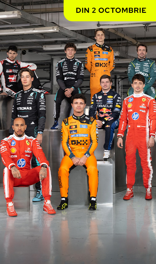 Formula 1™